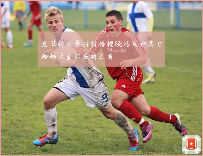 后卫转会费排行榜揭晓格瓦迪奥尔超越马奎尔成新王者