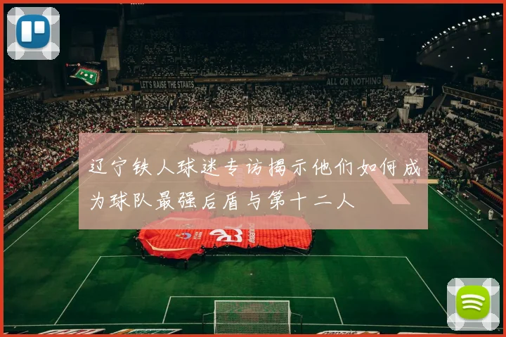 辽宁铁人球迷专访揭示他们如何成为球队最强后盾与第十二人